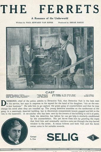 The Ferrets film afişi