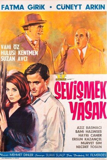 Sevişmek Yasak film afişi