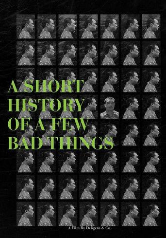 A Short History of a Few Bad Things film afişi