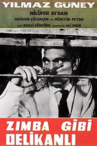 Zımba Gibi Delikanlı film afişi
