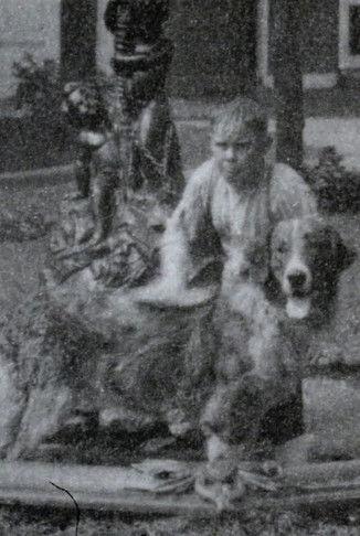 Rex's Bath film afişi