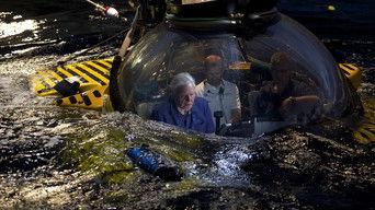 Attenborough's Global Adventure