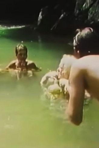 Sinfonia do Alto Ribeira film afişi