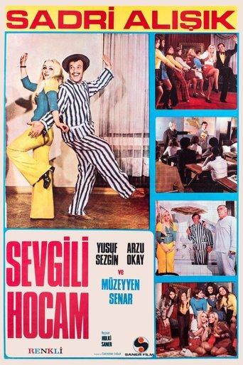 Sevgili Hocam film afişi