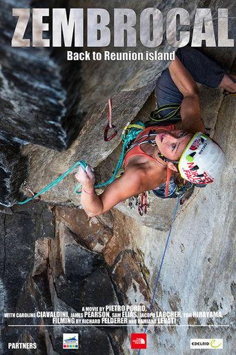 Zembrocal film afişi