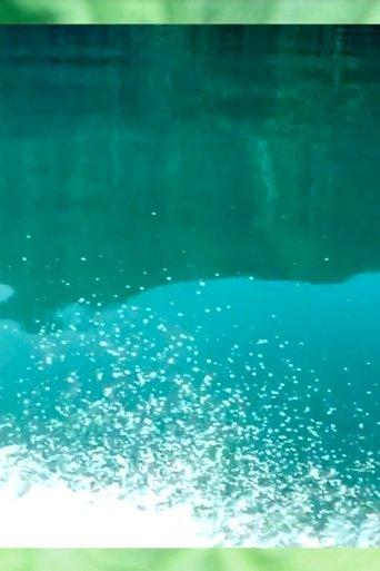 Digging Up the Last Spike film afişi