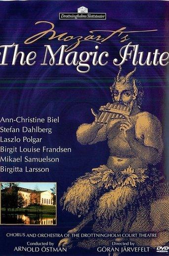 Mozart: The Magic Flute film afişi