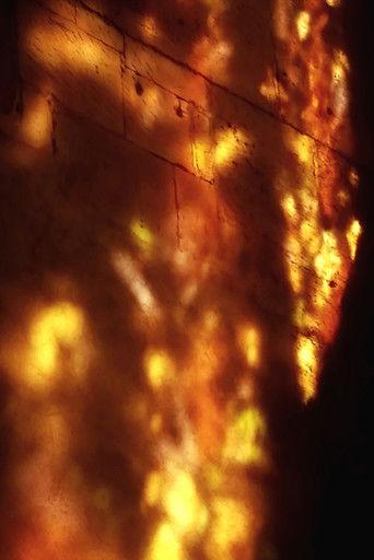 Golden Chains film afişi