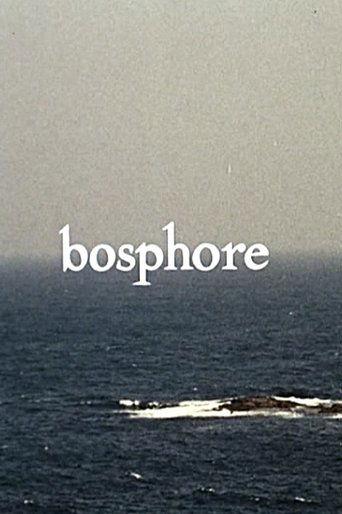 Bosphore film afişi