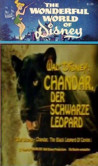 Chandar, the Black Leopard of Ceylon film afişi