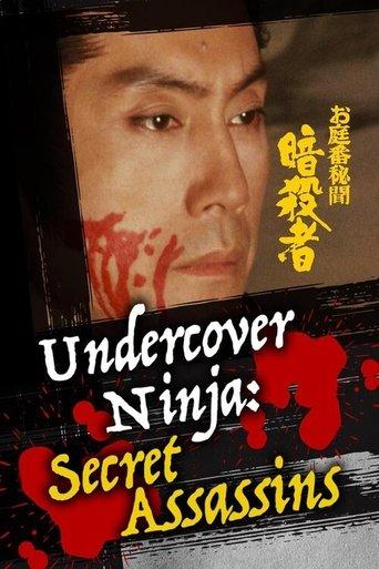 Undercover Ninja: Secret Assassins film afişi