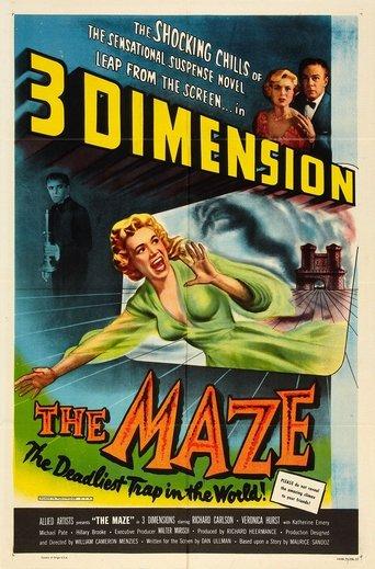 The Maze film afişi