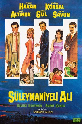 Süleymaniyeli Ali film afişi