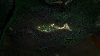 Fountain of Youth Found?