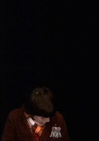 Hansje en het Welbehagen film afişi