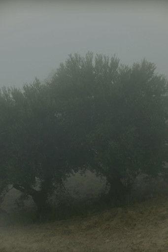 Why Do I See You In Everything? film afişi