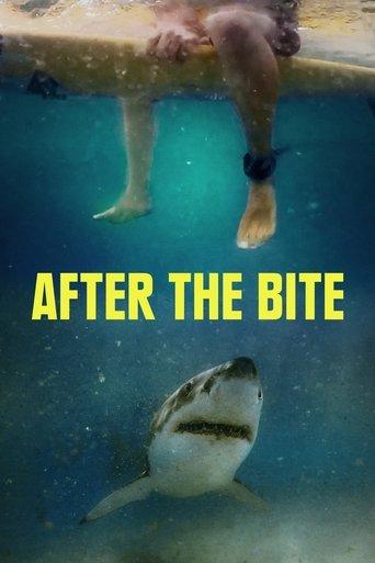 After the Bite film afişi