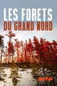 Les forêts du Grand Nord film afişi