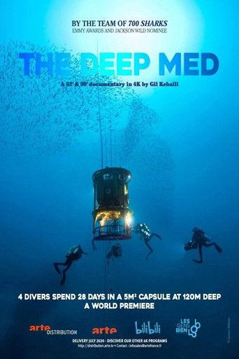 The Deep Med film afişi
