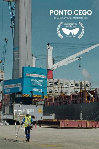 Ponto Cego film afişi