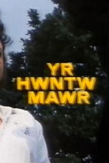 The Big Southerner film afişi