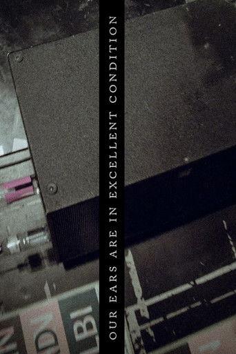Our Ears are in excellent condition film afişi