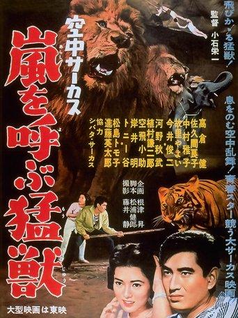 Midair Circus film afişi