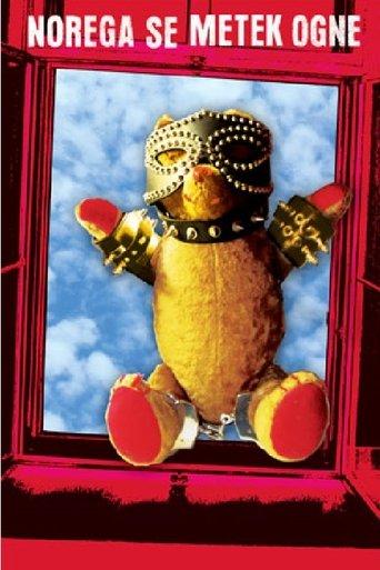 Bullets Miss the Fool film afişi