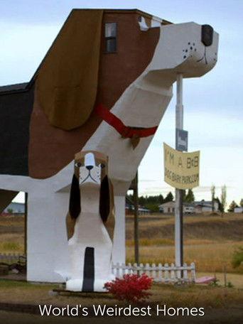 World's Weirdest Homes film afişi