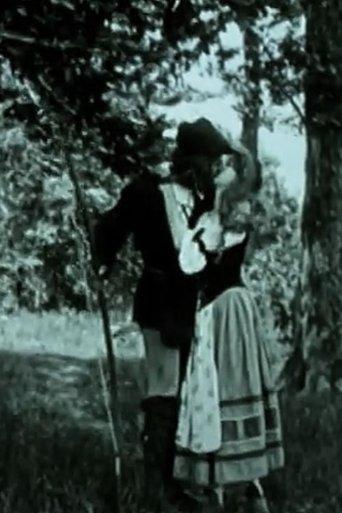 Robin Hood film afişi