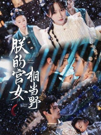 朕的宫女相当野 dizi afişi