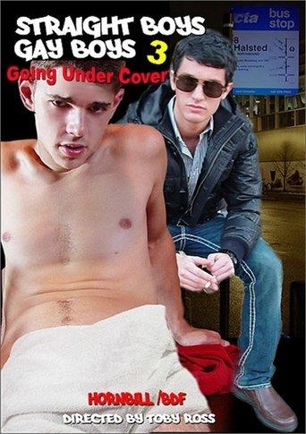 Straight Boys, Gay Boys 3: Going Under Cover film afişi