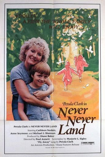 Never Never Land film afişi