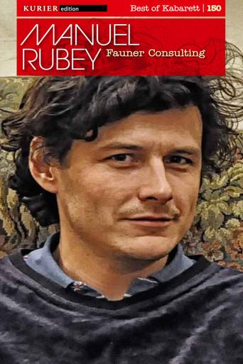 fauner consulting dizi afişi