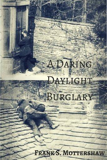 A Daring Daylight Burglary film afişi