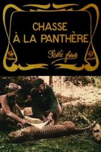 Hunting the Panther film afişi