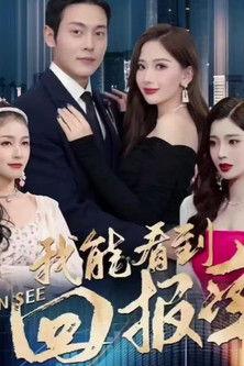 我能看到回报率 dizi afişi