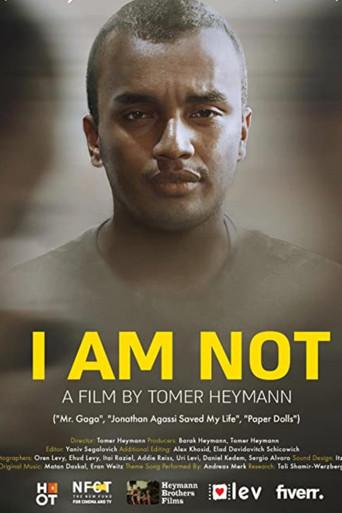 I Am Not film afişi