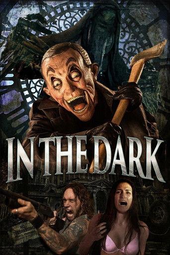 In the Dark film afişi