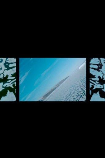 Polar Life film afişi