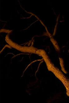 L'Ultimu Sognu – Last Dream in Petra Bianca film afişi