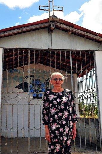 Uma Visita Para Elizabeth Teixeira film afişi