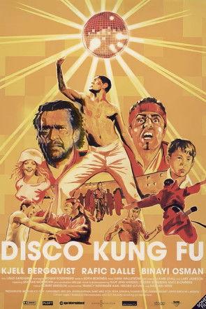 Disco Kung Fu film afişi