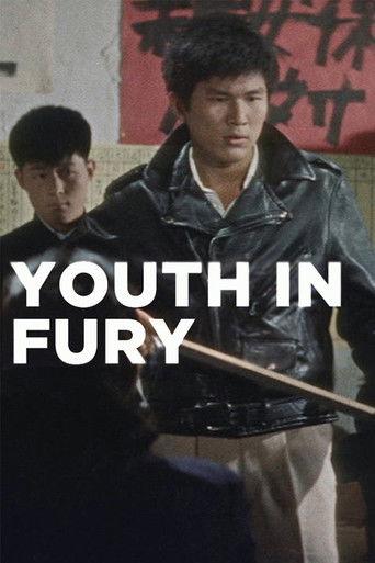 Youth in Fury film afişi