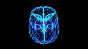 Can We All Become Geniuses?