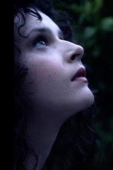 The Orchard film afişi