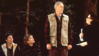 Near Dick Experience