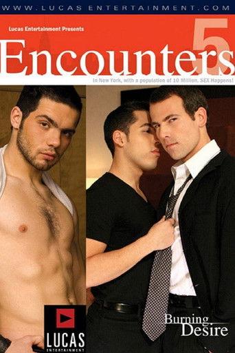 Encounters 5: Burning Desire film afişi