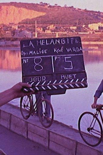 La Mélangite film afişi