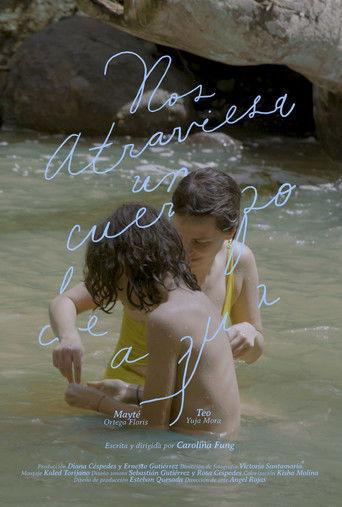 A Body of Water Runs Through Us film afişi